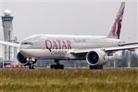 Javier de la Cruz - CANARY ISLANDS SPOTTING. Click to see full size photo