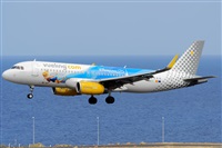 ©Luis Rguez - La Palma Spotting. Click to see full size photo ©Luis Rguez - La Palma Spotting. Click to see full size photo