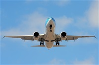 Miguel A. gueda Rguez.  (CANARY ISLANDS SPOTTING). Click to see full size photo
