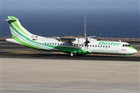 Alfonso Sols - Asociacin Canary Islands Spotting. Click to see full size photo