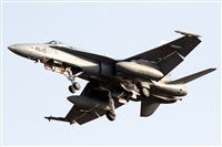 Adrin Alonso Lemes - Lanzarote Spotters. Click to see full size photo