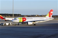 Nacho Rodriguez - Canary Islands Spotting. Haz click para ampliar