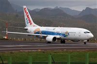 Miguel A. gueda Rguez.  (CANARY ISLANDS SPOTTING). Click to see full size photo