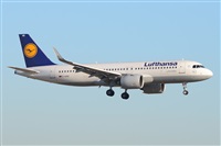 Miguel A. gueda Rguez.  (CANARY ISLANDS SPOTTING). Click to see full size photo