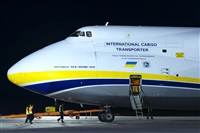 Tams. Click to see full size photo