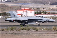 Alfonso Sols - Asociacin Canary Islands Spotting. Click to see full size photo