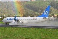 Miguel A. gueda Rguez.  (CANARY ISLANDS SPOTTING). Click to see full size photo