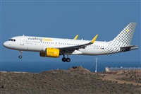 ©Adolfo Bento - Gran Canaria Spotters. Click to see full size photo ©Adolfo Bento - Gran Canaria Spotters. Click to see full size photo