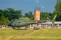 Tams. Click to see full size photo