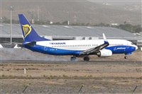 Miguel A. gueda Rguez.  (CANARY ISLANDS SPOTTING). Click to see full size photo