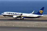 Alfonso Sols - Asociacin Canary Islands Spotting. Haz click para ampliar