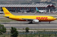 ©Alfonso Solís - Asociación Canary Islands Spotting. Click to see full size photo ©Alfonso Solís - Asociación Canary Islands Spotting. Click to see full size photo