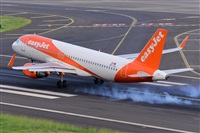 Miguel A. gueda Rguez.  (CANARY ISLANDS SPOTTING). Click to see full size photo