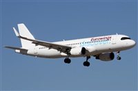 Alfonso Sols - Asociacin Canary Islands Spotting. Haz click para ampliar