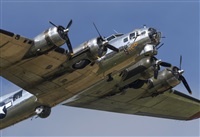 Rod Dermo. Click to see full size photo