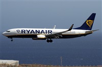 Alfonso Sols - Asociacin Canary Islands Spotting. Click to see full size photo