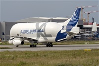 Adolfo Bento - Gran Canaria Spotters. Click to see full size photo