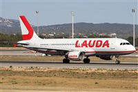 Alfonso Sols - Asociacin Canary Islands Spotting. Click to see full size photo