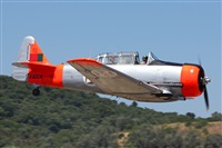 luiscarlosvieira. Click to see full size photo