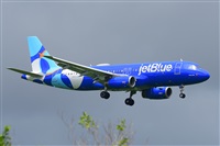 Miguel A. gueda Rguez.  (CANARY ISLANDS SPOTTING). Click to see full size photo