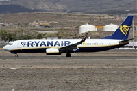 Alfonso Sols - Asociacin Canary Islands Spotting. Haz click para ampliar