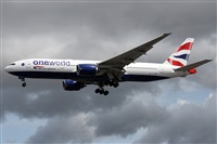 �Alfonso Sol�s - Asociaci�n Canary Islands Spotting. Click to see full size photo