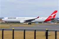 �Miguel A. �gueda Rguez.  (CANARY ISLANDS SPOTTING). Click to see full size photo