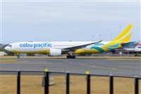 �Miguel A. �gueda Rguez.  (CANARY ISLANDS SPOTTING). Click to see full size photo