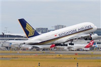 �Miguel A. �gueda Rguez.  (CANARY ISLANDS SPOTTING). Click to see full size photo
