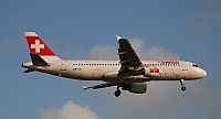 Rubn Gil - Noisy Spotters. Click to see full size photo