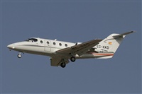 Jos Miguel Bernases - Noisy Spotters. Click to see full size photo