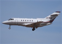 Alejandro H.L - Gran Canaria Spotters. Click to see full size photo