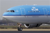 Jos Miguel Bernases - Noisy Spotters. Click to see full size photo