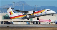 Rubn Gil - Noisy Spotters. Click to see full size photo
