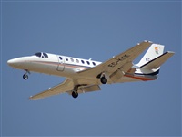 H.volar. Click to see full size photo