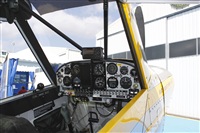 Jos Miguel Bernases - Noisy Spotters. Click to see full size photo