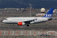 Miguel A. gueda Rguez.  (CANARY ISLANDS SPOTTING). Click to see full size photo