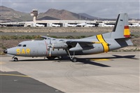 Alfonso Sols - Asociacin Canary Islands Spotting. Click to see full size photo
