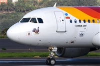 Javier de la Cruz - CANARY ISLANDS SPOTTING. Click to see full size photo