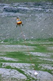 ragoval. Click to see full size photo
