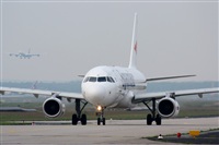 Rodrigo Carvalho - Noisy Spotters. Click to see full size photo