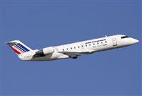 Jos Miguel Bernases - Noisy Spotters. Click to see full size photo