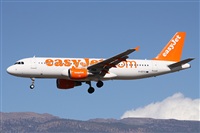 Alfonso Sols - Asociacin Canary Islands Spotting. Haz click para ampliar