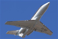 Rodrigo Carvalho - Noisy Spotters. Click to see full size photo