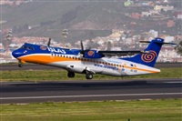 Javier de la Cruz - CANARY ISLANDS SPOTTING. Click to see full size photo