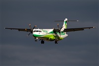 Javier de la Cruz - CANARY ISLANDS SPOTTING. Click to see full size photo