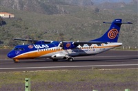 Javier de la Cruz - CANARY ISLANDS SPOTTING. Click to see full size photo