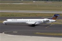 Javier de la Cruz - CANARY ISLANDS SPOTTING. Click to see full size photo