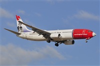 Miguel A. gueda Rguez.  (CANARY ISLANDS SPOTTING). Click to see full size photo