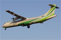 Alfonso Sols - Asociacin Canary Islands Spotting. Click to see full size photo